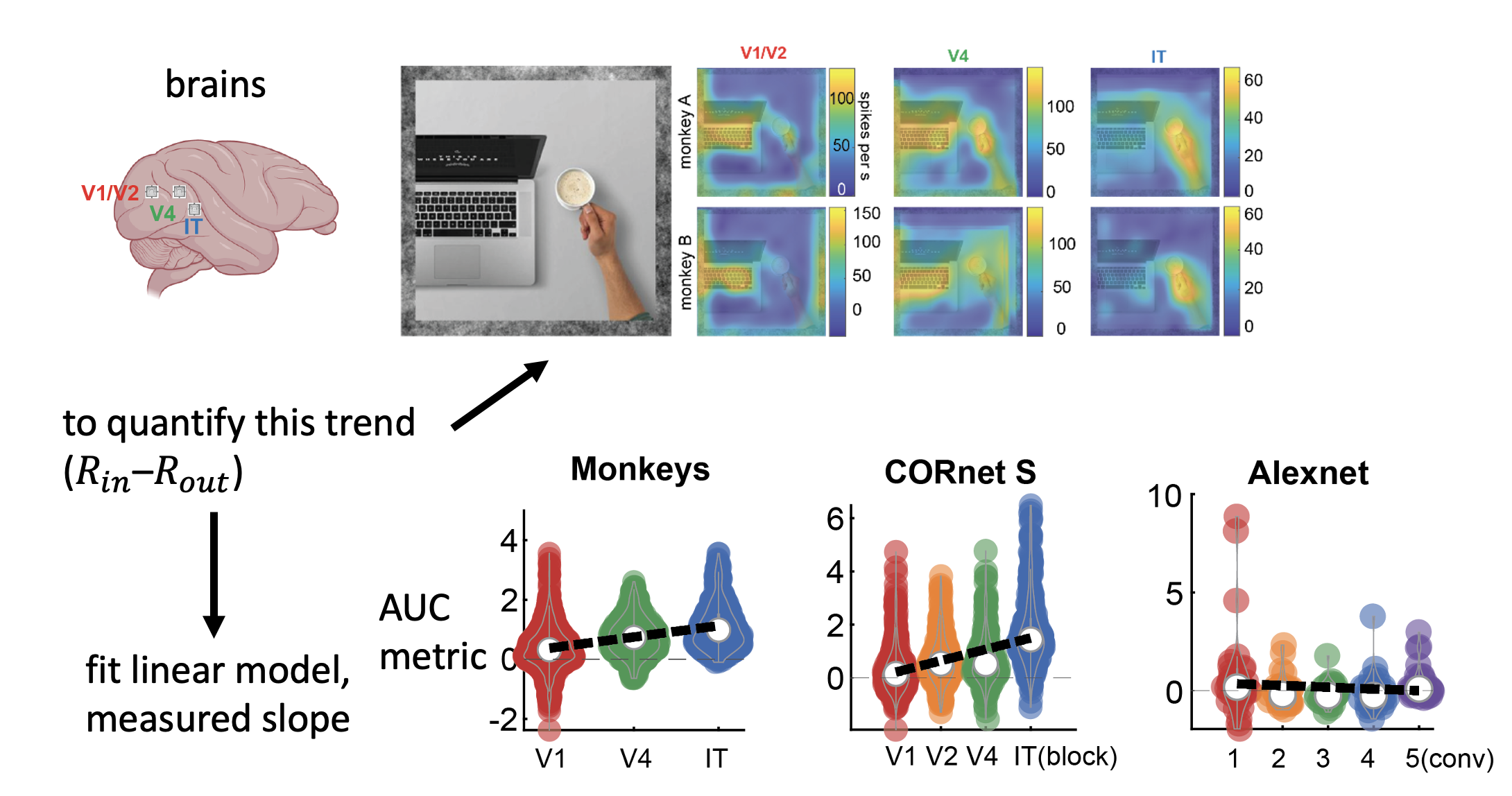 Animal-feature Encoding